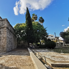 Profilbild für Grace G