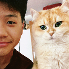 Profilbild für Linjun S