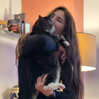 Profilbild für Rebecca A