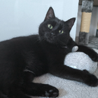 Profilbild für Stefanie M