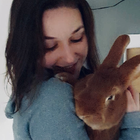 Avatar pour Charlotte B