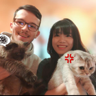 Profilbild für Shiqing L