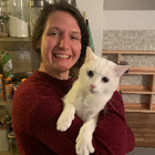 Profilbild für Sophie M