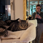Profilbild für Valérie J