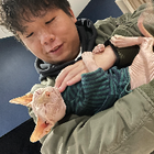 Avatar for Wai Ching (Nick) C