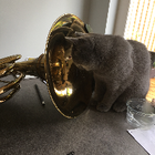 Avatar for Jonathan L