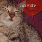 Avatar for Saloni S