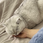 Profielfoto voor Lucy G