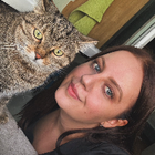 Profilbild für Alma D