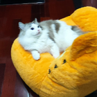 Profielfoto voor Jesse H