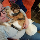 Profielfoto voor Shirley K