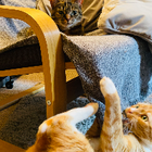 Avatar for Ricardo M