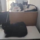 Avatar for Rebecca (Alex) S