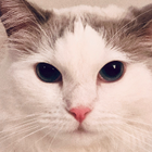 Avatar for Katrina E