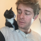 Profilbild für Robert N