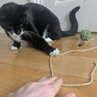 Avatar for Richard R