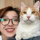 Profilbild für Meihui H