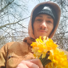 Avatar pour alban D