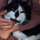 Profielfoto voor Betül K