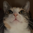 Profilbild für Paul B