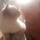 Profilbild für Angelina R