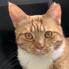 Profilbild für Sandra R