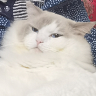 Profilbild für Joyce L