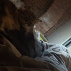 Avatar pour Beverley L