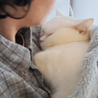 Avatar pour Maëlys M