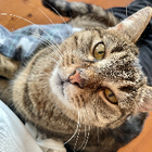Profilbild für Janina F