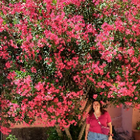 Avatar pour Pauline B
