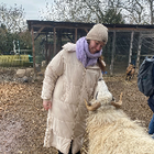 Profilbild für Lara T