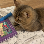 Profilbild für Xiaohua C