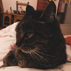 Profilbild für Dorotka B