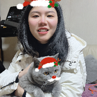 Profilbild für Mengyang L
