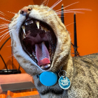 Avatar for Gary B