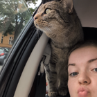 Profilbild für Lena L