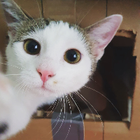 Profilbild für Sabrina Z