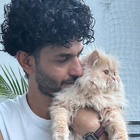 Profilbild für Siavash D