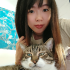 Profilbild für Jinjing T