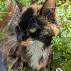 Profilbild für Kristine B