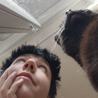 Profilbild für Hannah T