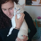 Profilbild für Aurel S
