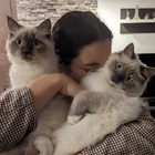 Profilbild für Dominique T