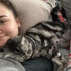 Profilbild für Denisa D