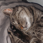 Profilbild für Lena H