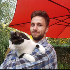 Profilbild für David B