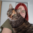 Profilbild für Lea B