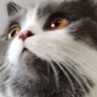 Profilbild für yuchen 雨