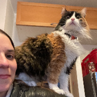 Profilbild für Francisca E